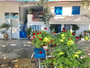 CASA LELA 3...HYDRA